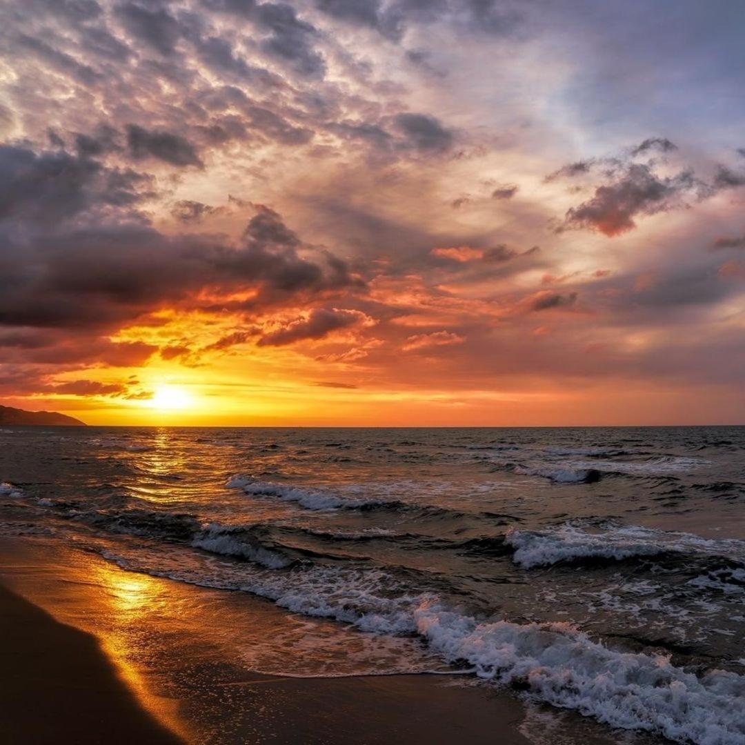 Villa Vis A Vis Trzesacz Bagian luar foto